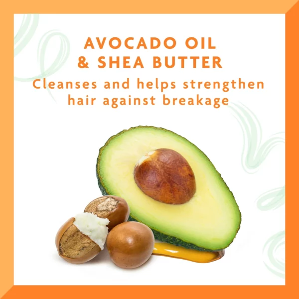 Shampoing Cantu Avocado Hydratant à l’Avocat et Beurre de Karité, 400 ml – Image 3