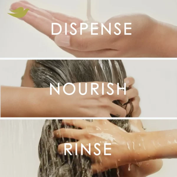 Pack Shampoing & Démêlant Dove Intensive Repair, Soin Cheveux Abîmés, Grand Format, 2 x 1L – Image 2