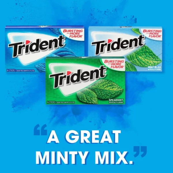 Chewing Gum Trident Sans Sucre, Saveurs Spearmint, Mint Bliss, Original, 1 Paquet de 14 Tablettes – Image 2