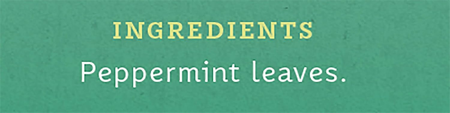 Infusion Stash Peppermint Herbal Tea, Menthe Poivrée Pure, Boîte de 30 Sachets – Image 6